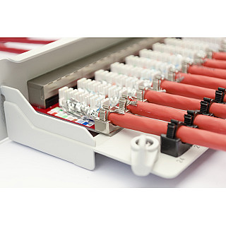 Panel krosowy Digitus | CAT 6A, ekranowany, 1U, 24-portowy | RJ45, 8P8C | сірий
