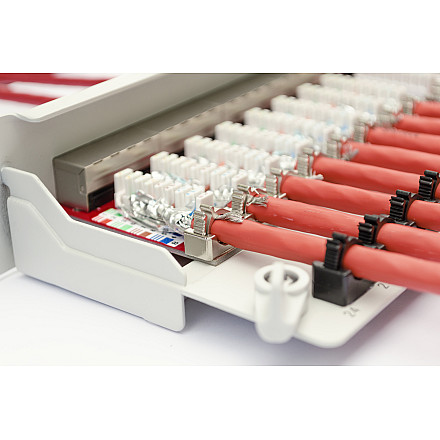 Panel krosowy Digitus | CAT 6A, ekranowany, 1U, 24-portowy | RJ45, 8P8C | сірий - 1