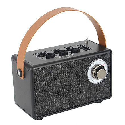 Głośnik z radiem | CR 1902 B | 5 W | Bluetooth | Czarny | Połączenie bezprzewodowe - 1