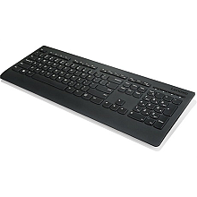 Lenovo Professional