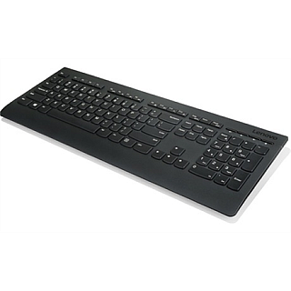 Lenovo Professional