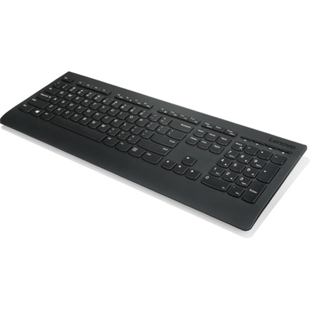 Lenovo Professional - 1