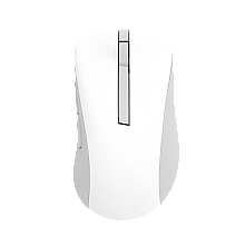 Asus Wireless Mouse | MD102 | Mouse | 2.4 GHz, Bluetooth | White