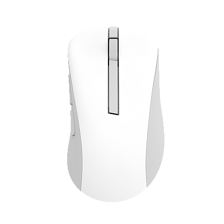 Asus Wireless Mouse | MD102 | Mouse | 2.4 GHz, Bluetooth | White - 1