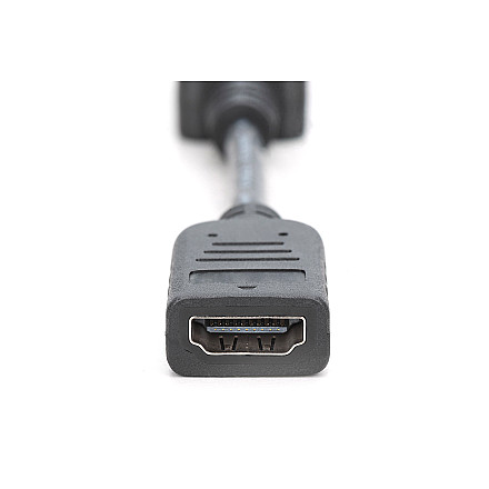 Digitus DisplayPort Адаптер/Converter | AK-340400-001-S - 4
