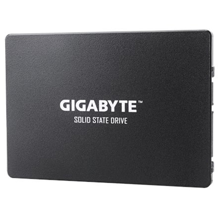 Gigabyte GP-GSTFS31256GTND RPM 256 GB - 7