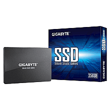 Gigabyte GP-GSTFS31256GTND RPM 256 GB
