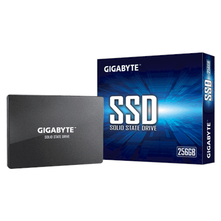 Gigabyte GP-GSTFS31256GTND RPM 256 GB - 1