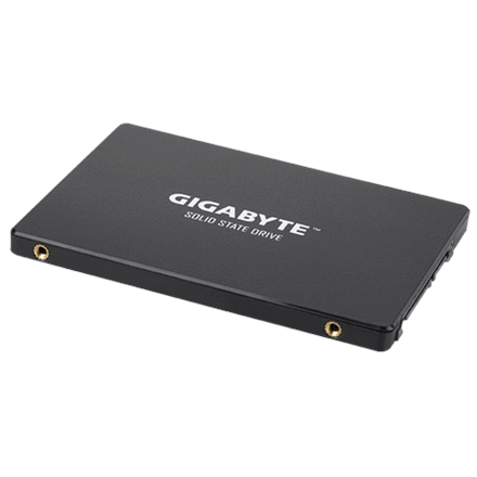 Gigabyte GP-GSTFS31256GTND RPM 256 GB - 2