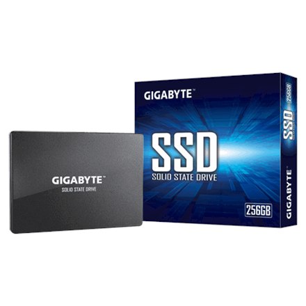 Gigabyte GP-GSTFS31256GTND RPM 256 GB - 5