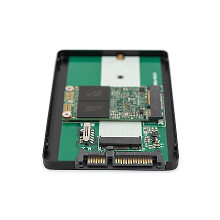 Digitus 2.5