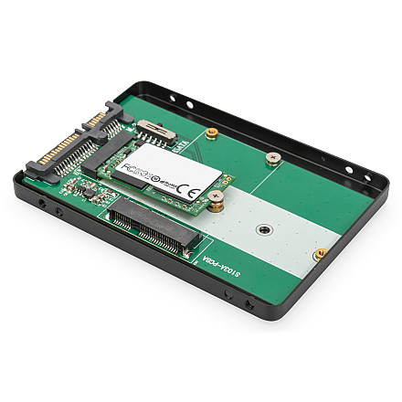 Digitus 2.5