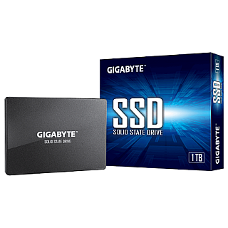 Gigabyte GP-GSTFS31100TNTD 1000 GB Format SSD 2,5 cala
