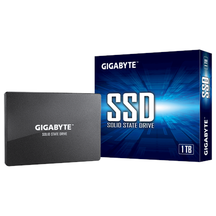Gigabyte GP-GSTFS31100TNTD 1000 GB Format SSD 2,5 cala - 1