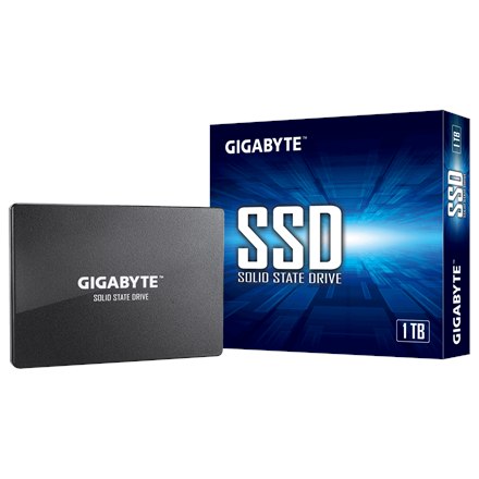 Gigabyte GP-GSTFS31100TNTD 1000 GB Format SSD 2,5 cala - 3
