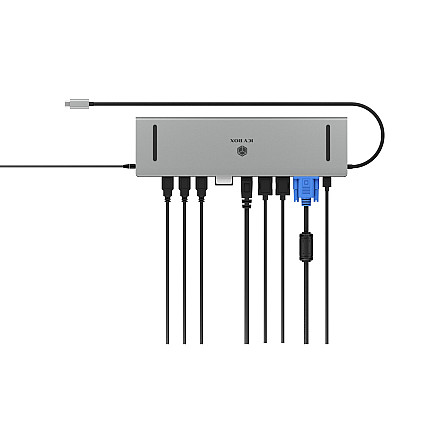 Raidsonic Docking Station | IB-DK2106a-CPD | Ethernet LAN (RJ-45) ports 1 | VGA (D-Sub) ports quantity 1 | HDMI ports quantity 2 - 6