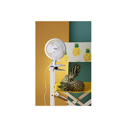 Adler | Fan with clip | AD 7317 | Table Fan | White | Diameter 15 cm | Number of speeds 2 | 30 W | No - 7