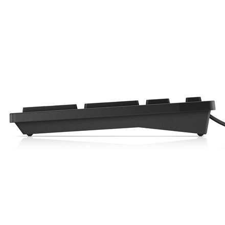 Dell KB216 Standard Przewodowa - 11