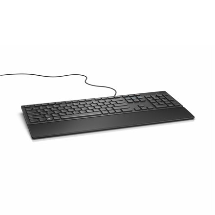 Dell KB216 Standard Przewodowa - 9