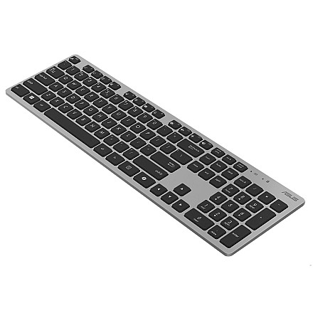 Asus W5000 KEYBOARD+MOUSE/GY/RU - 5
