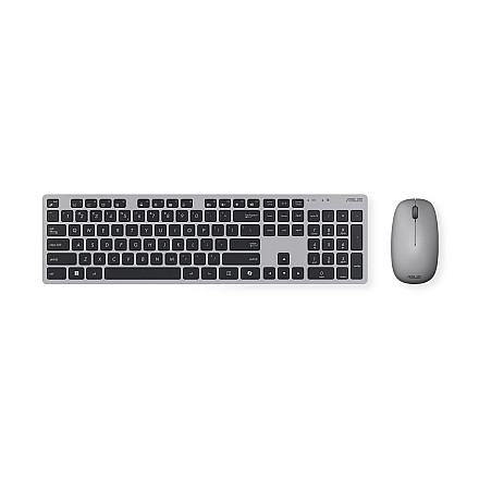 Asus W5000 KEYBOARD+MOUSE/GY/RU - 6
