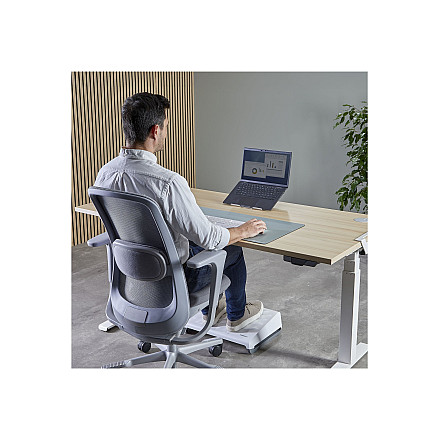Портативна podstawka pod laptopa Fellowes Alumia - срібна | Fellowes - 6
