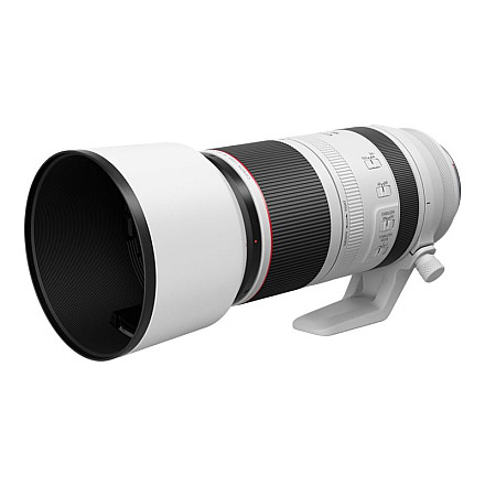 Canon LENS RF100-500MM F4.5-7.1 L IS USM Canon - 4
