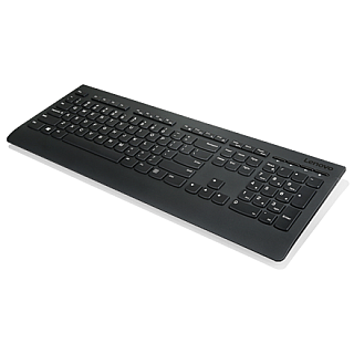 Lenovo Professional