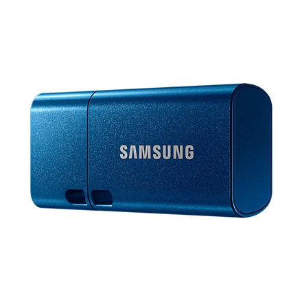 Samsung USB Flash Drive MUF-256DA/APC 256 GB - 1