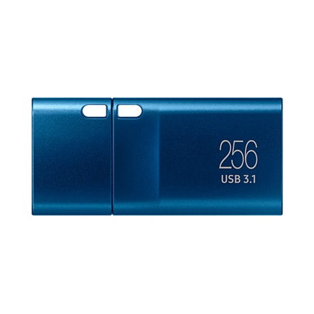 Samsung USB Flash Drive MUF-256DA/APC 256 GB - 3
