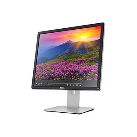 Dell P1917S 19 