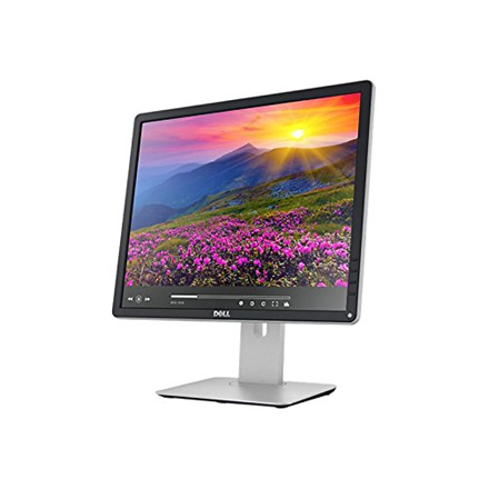 Dell P1917S 19 