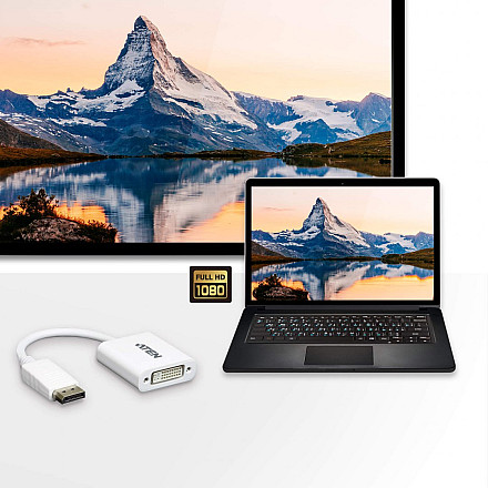 Aten VC965 DisplayPort to DVI Адаптер - 6