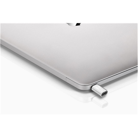 Męski | 24-pinowy USB-C | Żeński | 5-pinowy Micro-USB Typ B | Srebrny - 2