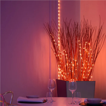Twinkly Dots Smart LED Lights 60 RGB (Multicolor), USB Powered, 3m, Black Twinkly | Dots Smart LED Lights 60 RGB (Multicolor), USB Powered, 3m, Black | RGB - 16M+ kolorów - 5