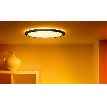WiZ Smart WiFi SuperSlim Ceiling 32W 545mm RGBW, Black Wizarding World - 3