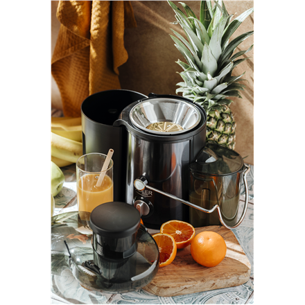 Adler AD 4132 | Wyciskarka для Soków | Ciemny Inox | 800 W | Liczba Швидкості 3 - 8
