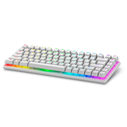 Dell 545-BBFR Alienware Pro Gaming Keyboard Wireless US Alienware Linear Mechanical Lunar Light Bluetooth - 2