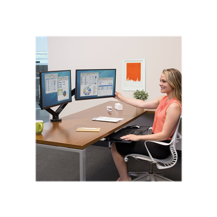 Fellowes arm for 2 monitors -  Platinum black - 2