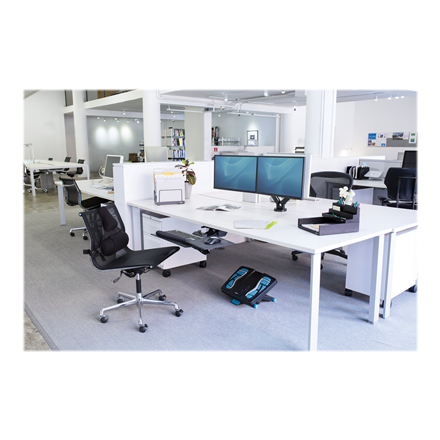 Fellowes arm for 2 monitors -  Platinum black - 11