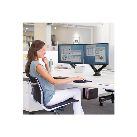 Fellowes arm for 2 monitors -  Platinum black - 8