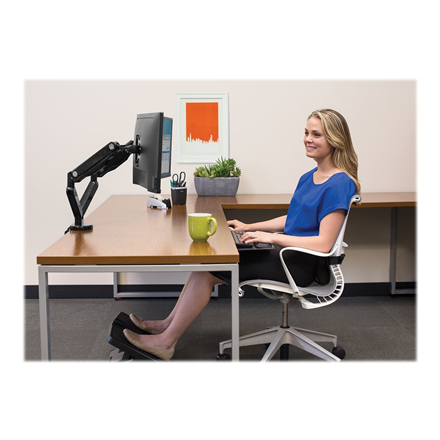 Fellowes arm for 2 monitors -  Platinum black - 5