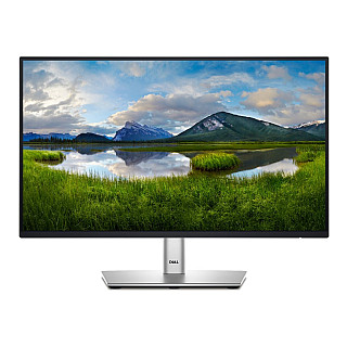Dell LCD P2225H 22