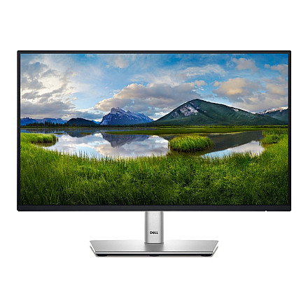 Dell LCD P2225H 22