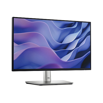 Dell LCD P2225H 22