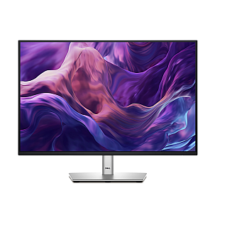 Dell P2425E 24
