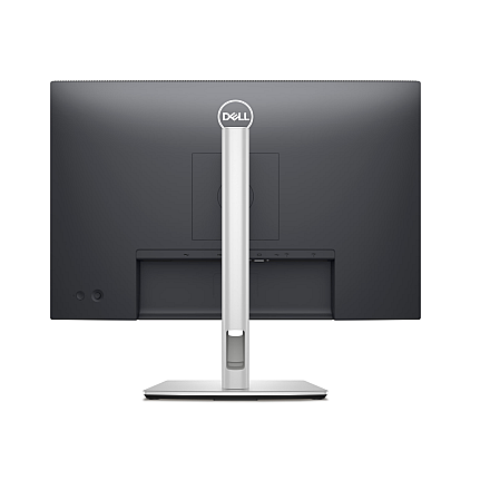 Dell P2425 24