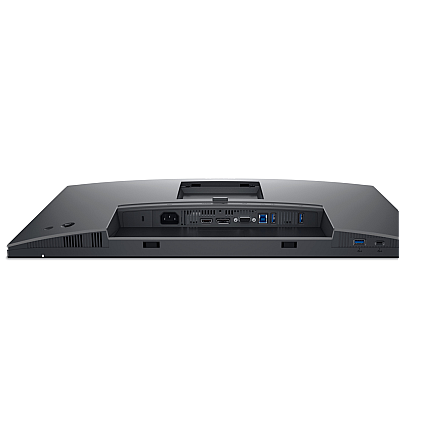 Dell P2425 24
