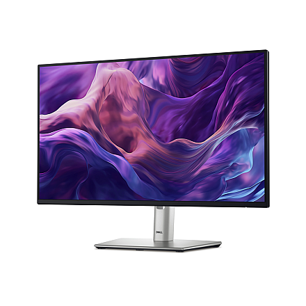 Dell P2425HE 24 