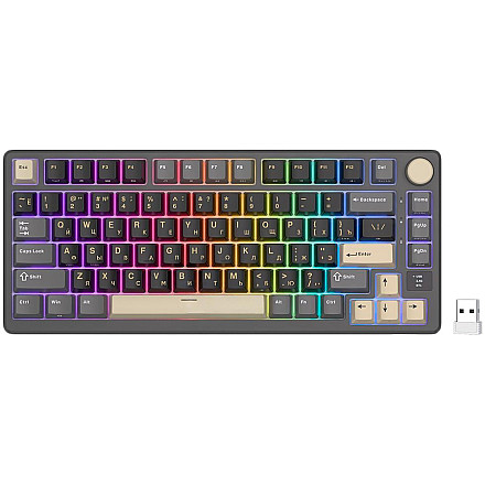 ROYAL KLUDGE RK-M75 Phantom Gaming Keyboard Brown switch - 1